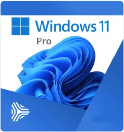 microsoft windows 11 pro windows 11 professional rupave